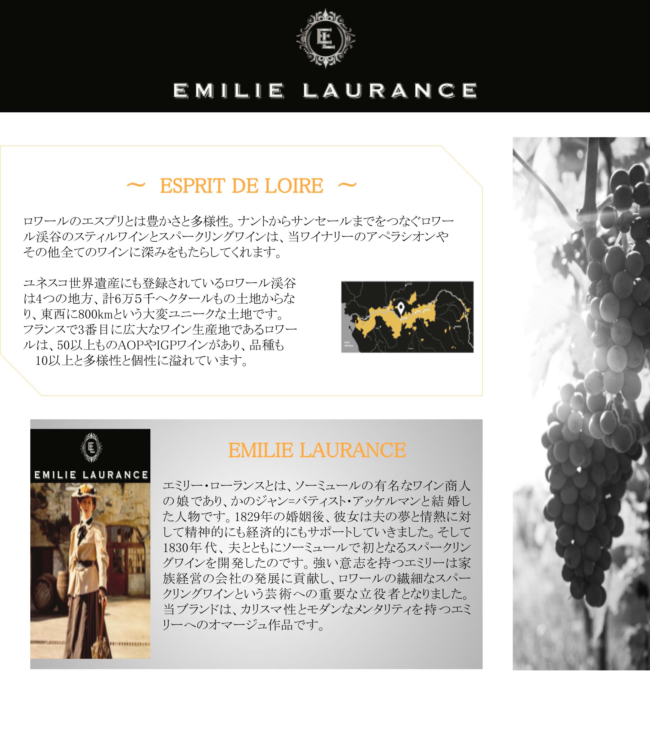 WEB用 エミリー・ローランス 各商品ページ最初の画像