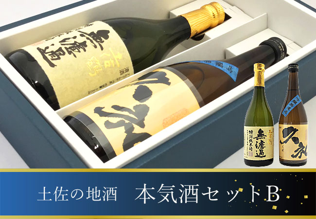 土佐の地酒　日本酒本気酒セットB　720×2本　画像